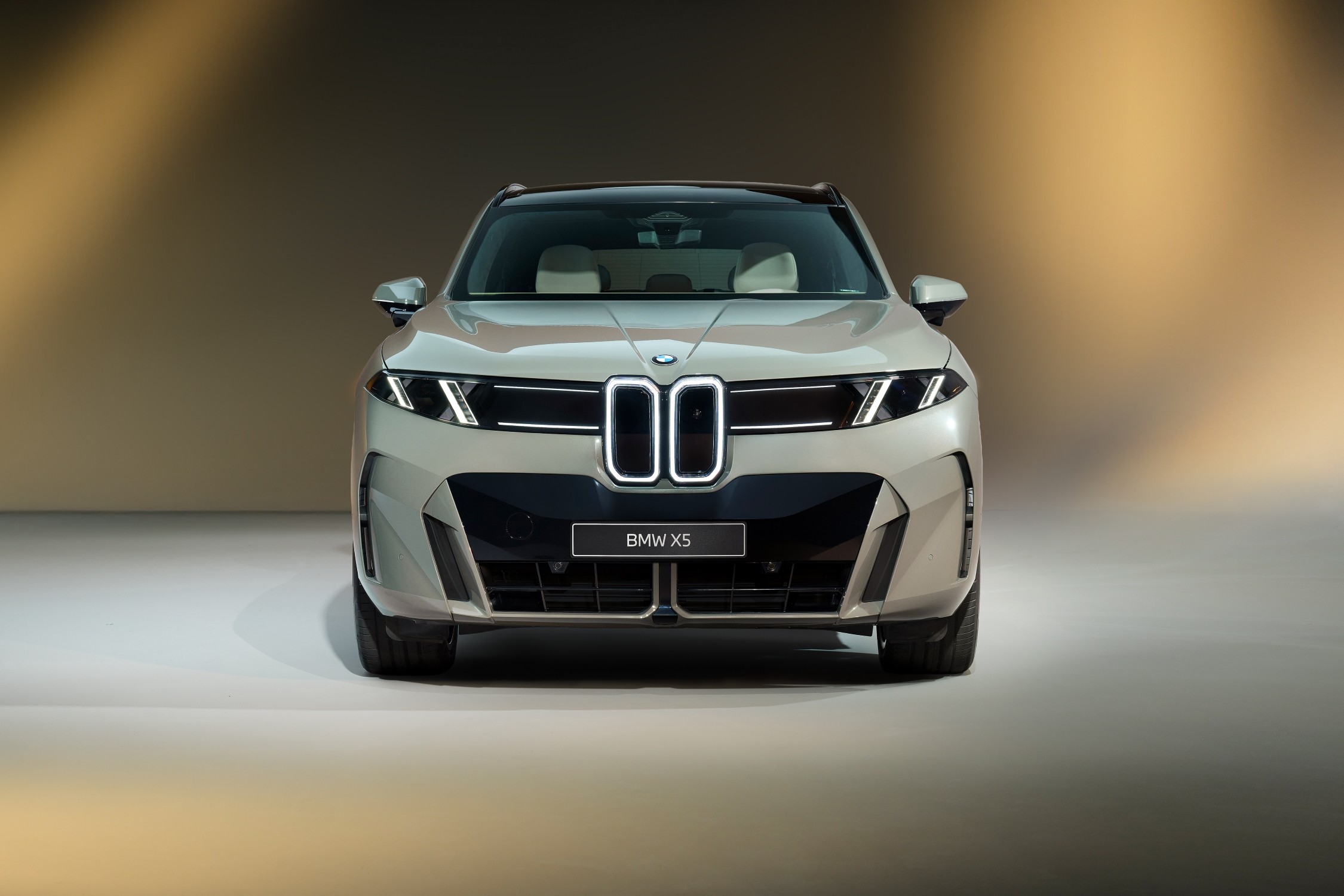 BMW iX5 60 xDrive