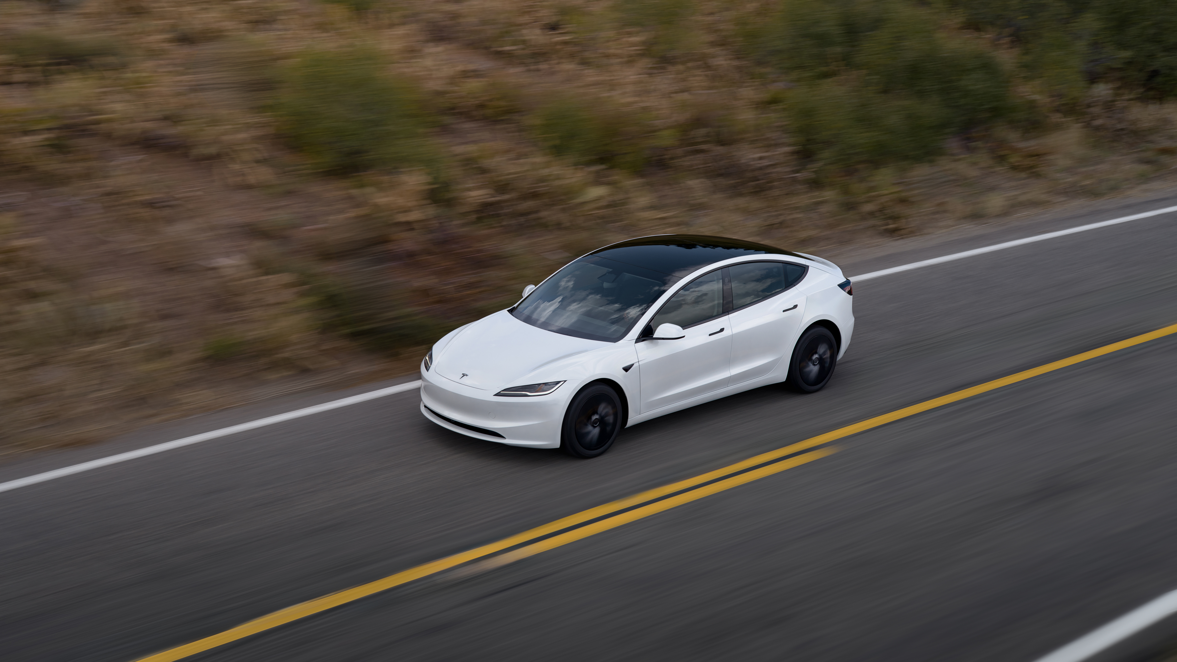 Tesla Model 3 Standard RWD